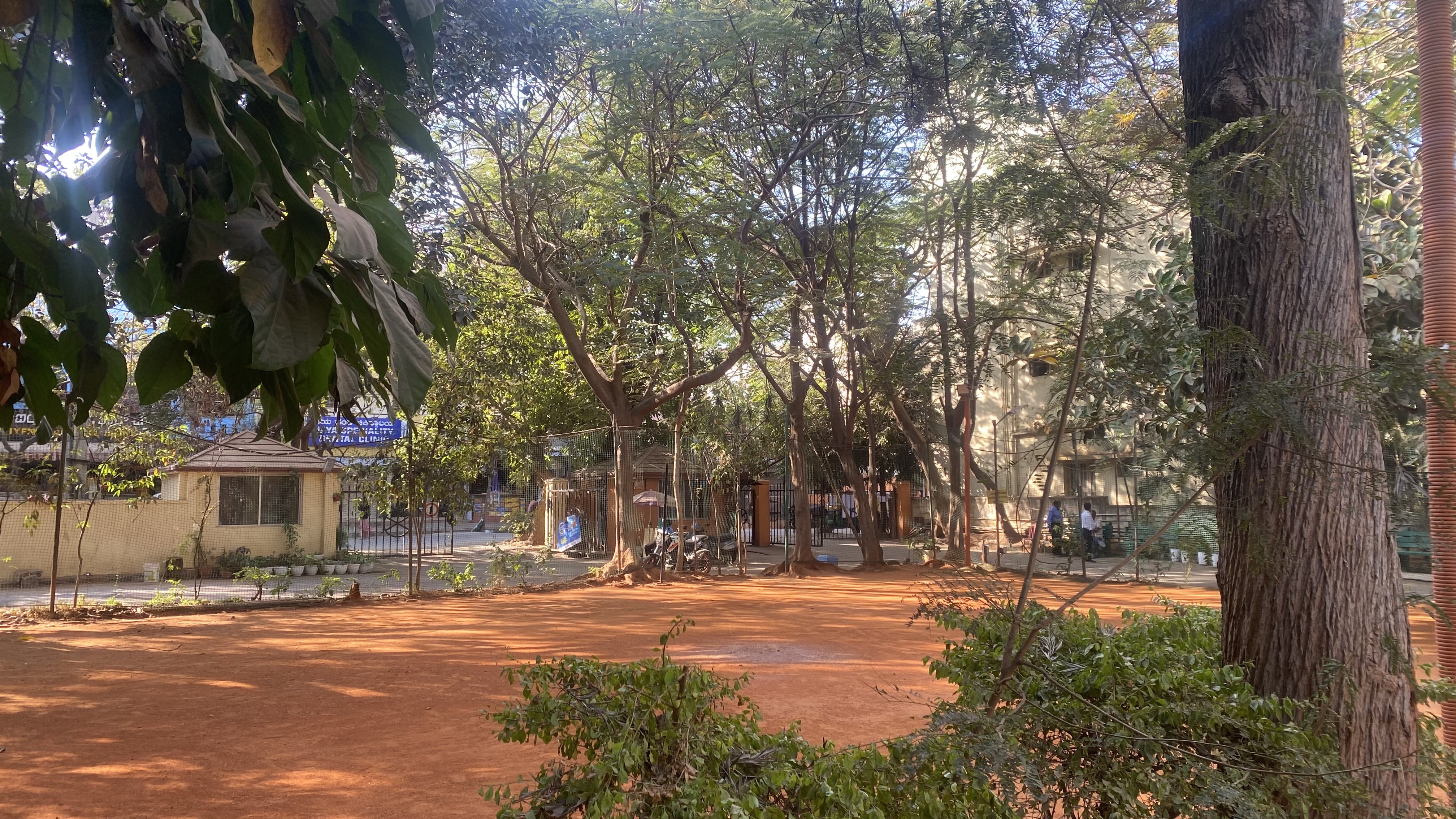 Play Area
